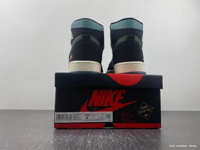Rep LUCY Air Sky Light Element Gore-Tex Jordan DB2889-003 1 Olive J 0606